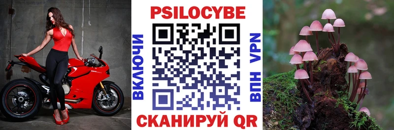Псилоцибиновые грибы ЛСД сайты даркнета состав Цоци-Юрт продажа наркотиков